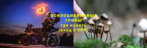 винт Магас