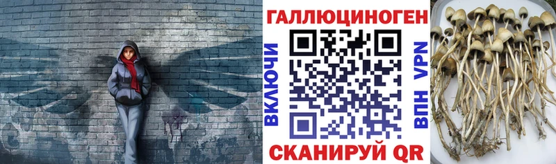 Галлюциногенные грибы GOLDEN TEACHER Гаджиево