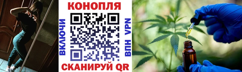 как найти закладки  Гаджиево  Конопля индика 